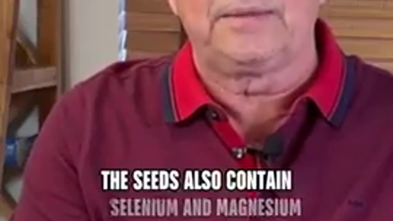 Mustard Seeds Powerful Tiny Healers - Mustard Seeds Health Benefits