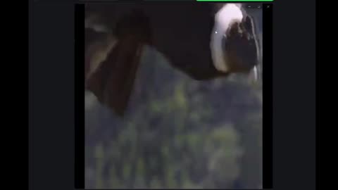 FIN DE LOS DERECHOS INDIVIDUALES, INICIO DE LA DICTADURA GLOBAL DEL NOM