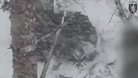 Ukrainians Examining the Results of the Previous Day