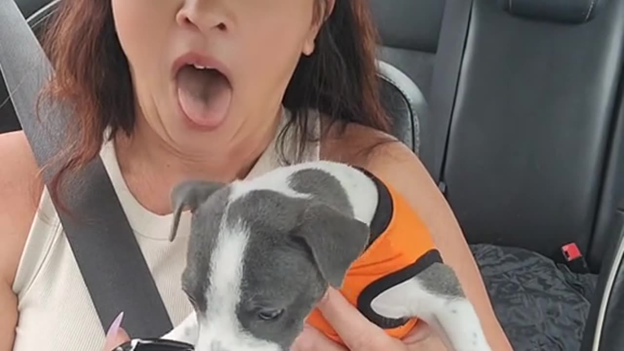 Piggys first pup cup