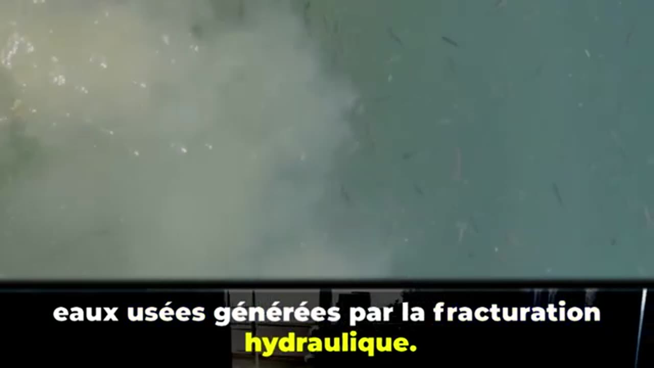 L'enfer Californien, Climat ou mauvaise gestion industrielle?