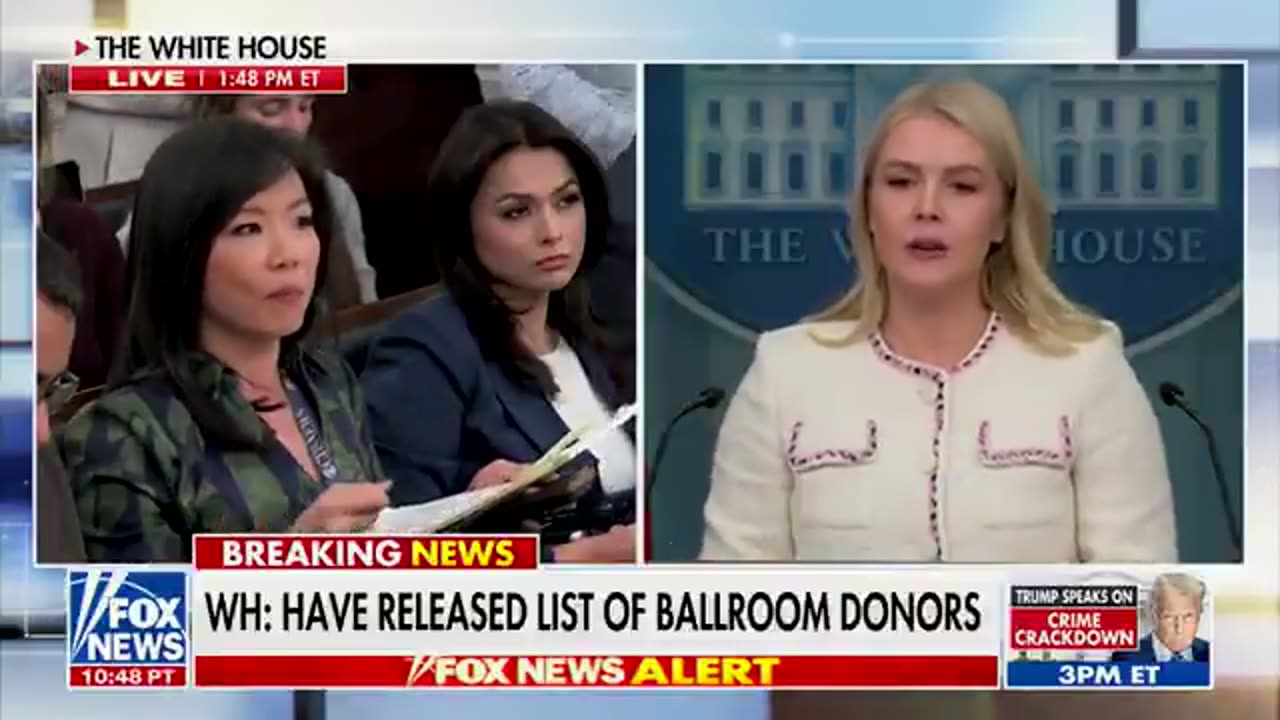 Karoline Leavitt SCHOOLS reporter with BASIC FACTS about Trump's authority