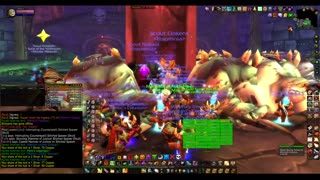 Turtle Wow - MM weekly Naxx - 12 December - Paladin