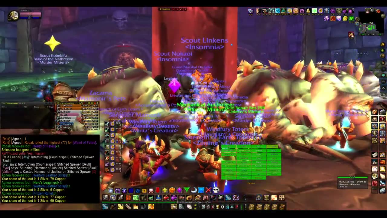 Turtle Wow - MM weekly Naxx - 12 December - Paladin