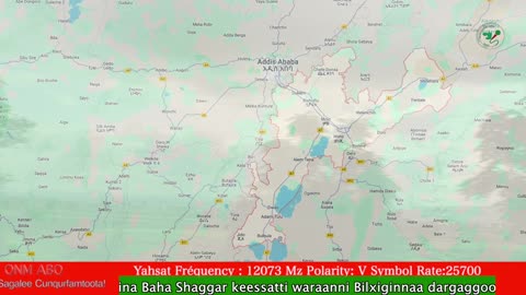 Oduu Waaree ONM-ABO Bitootessa 11-2025 itti dhiyaadhaa!