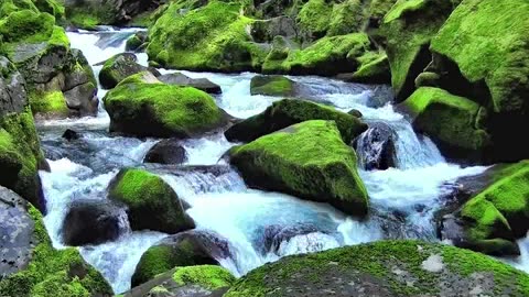 o numero 666 pt5.mp4