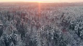 Soft Orchestra Indie Chill