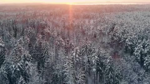 Soft Orchestra Indie Chill