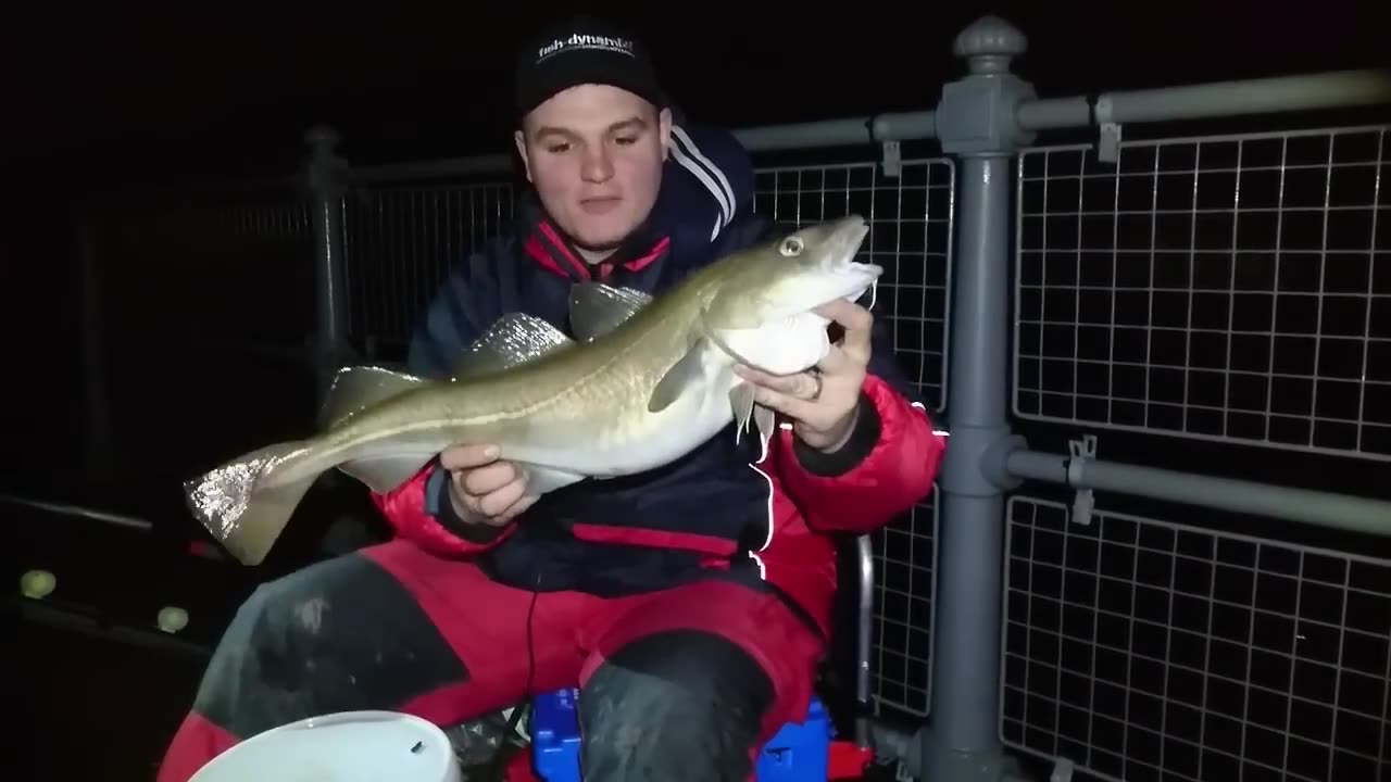 sea crazy fish...
