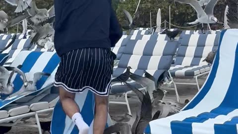 Flock Of Gulls Screech Over Beachgoers