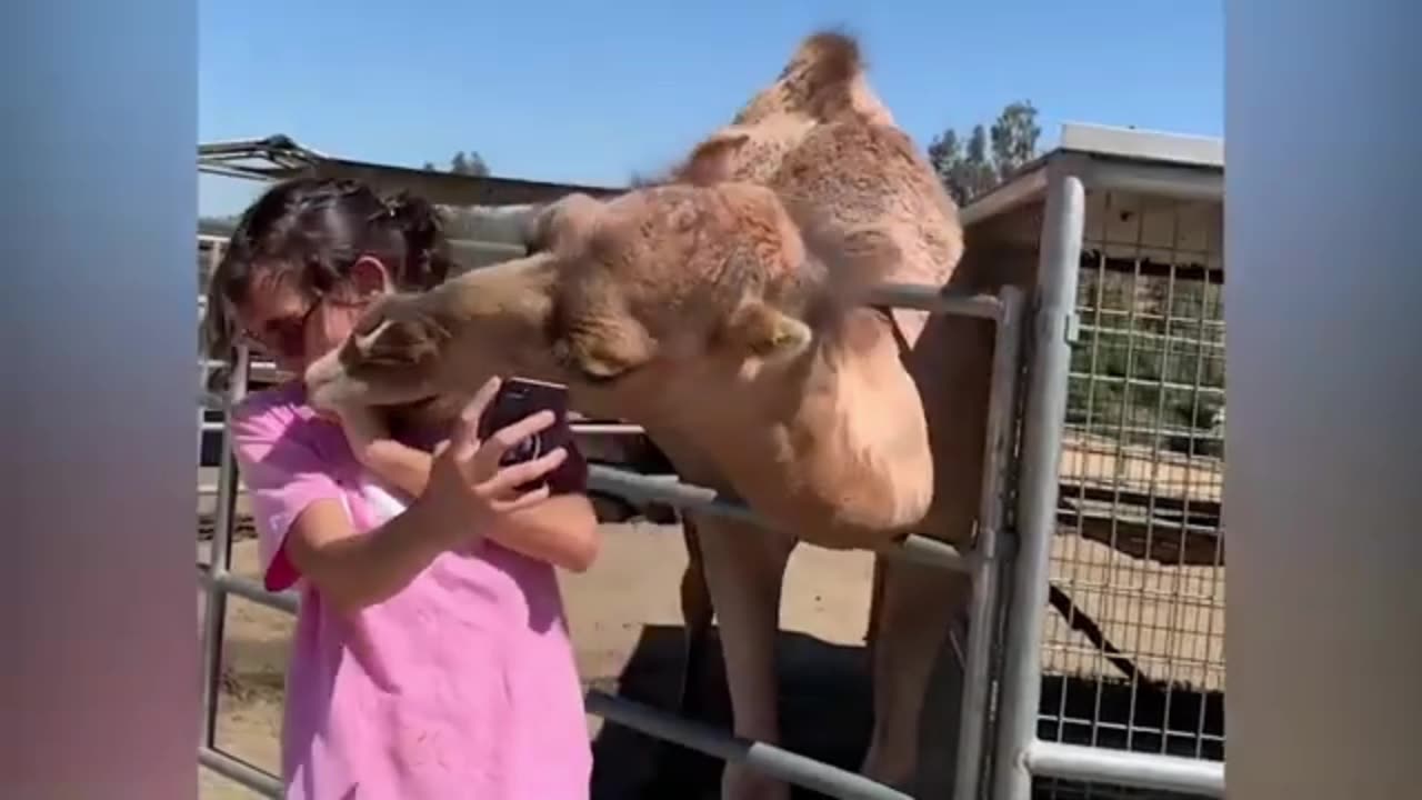 Funny Moment 🤯