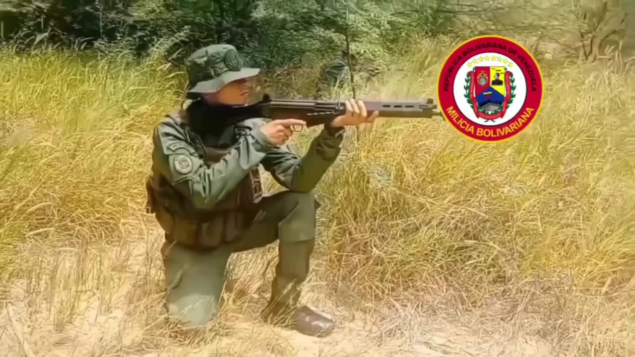 A Look at Mobilization Inside of Venezuela