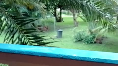 Where is the plane?