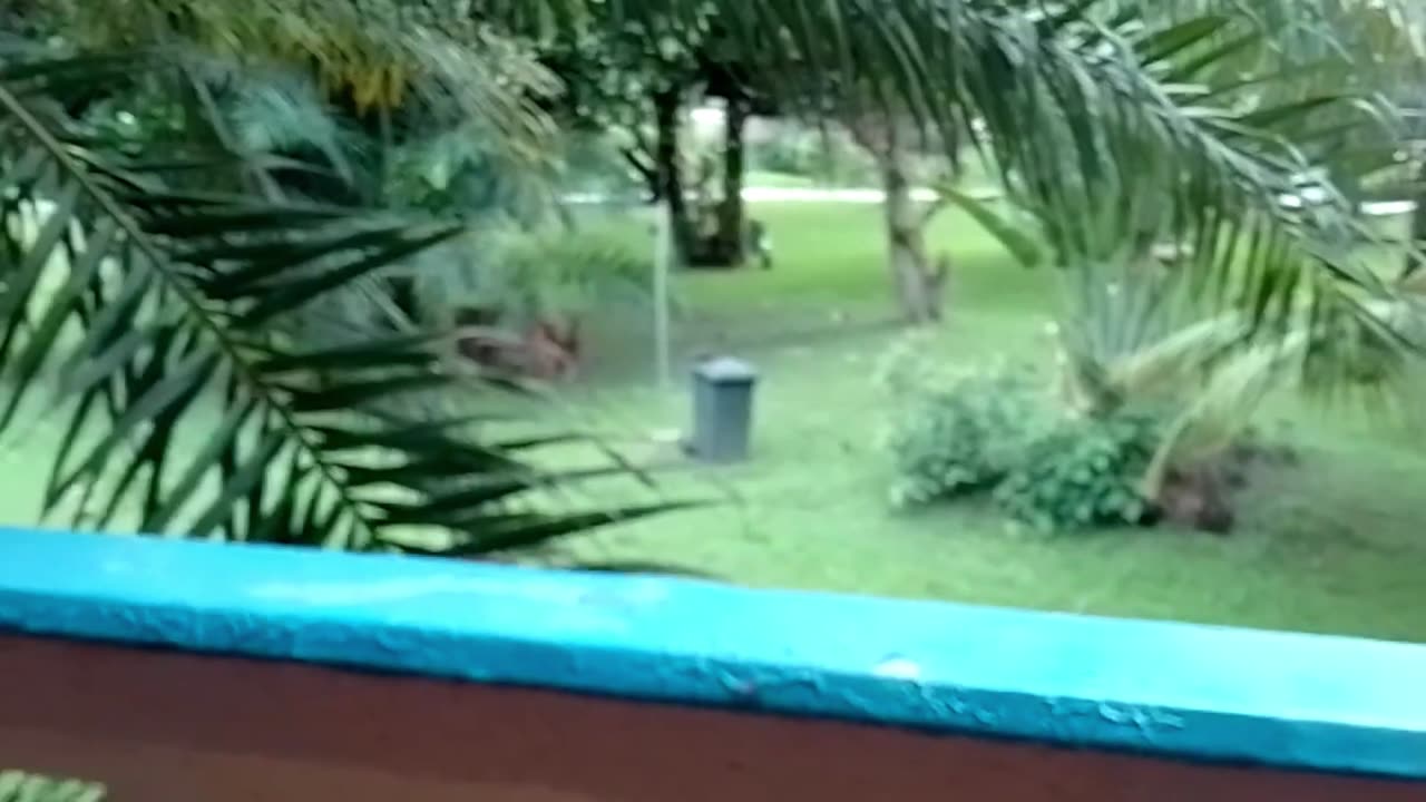Where is the plane?