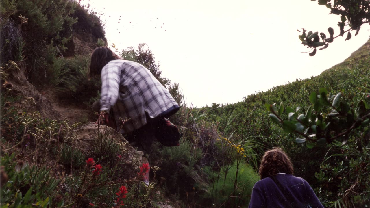 Pink Floyd - The Nile Song