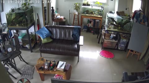 Philippines Earthquake Rattles Fish Tanks