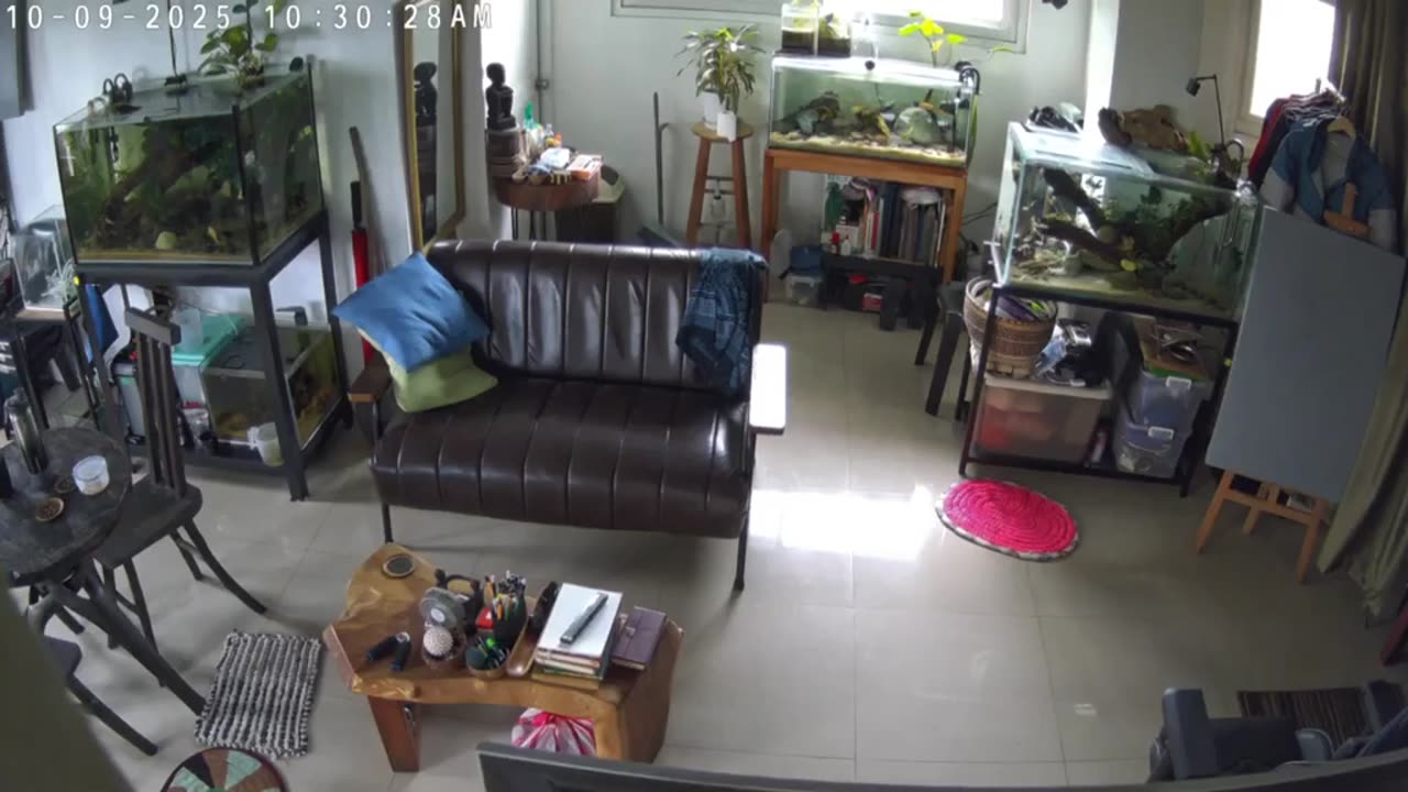 Philippines Earthquake Rattles Fish Tanks