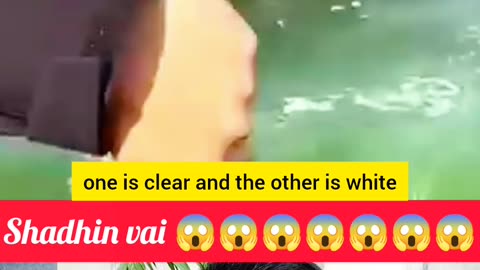 🌊 “এক সাগরে দুই রঙের পানি – Allah’s Sign of Power” 🌙