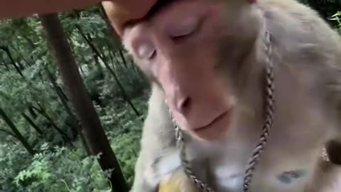 Funny video 😂🤣