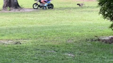 Distracted Daughter Drives Dirt Bike Into Tree
