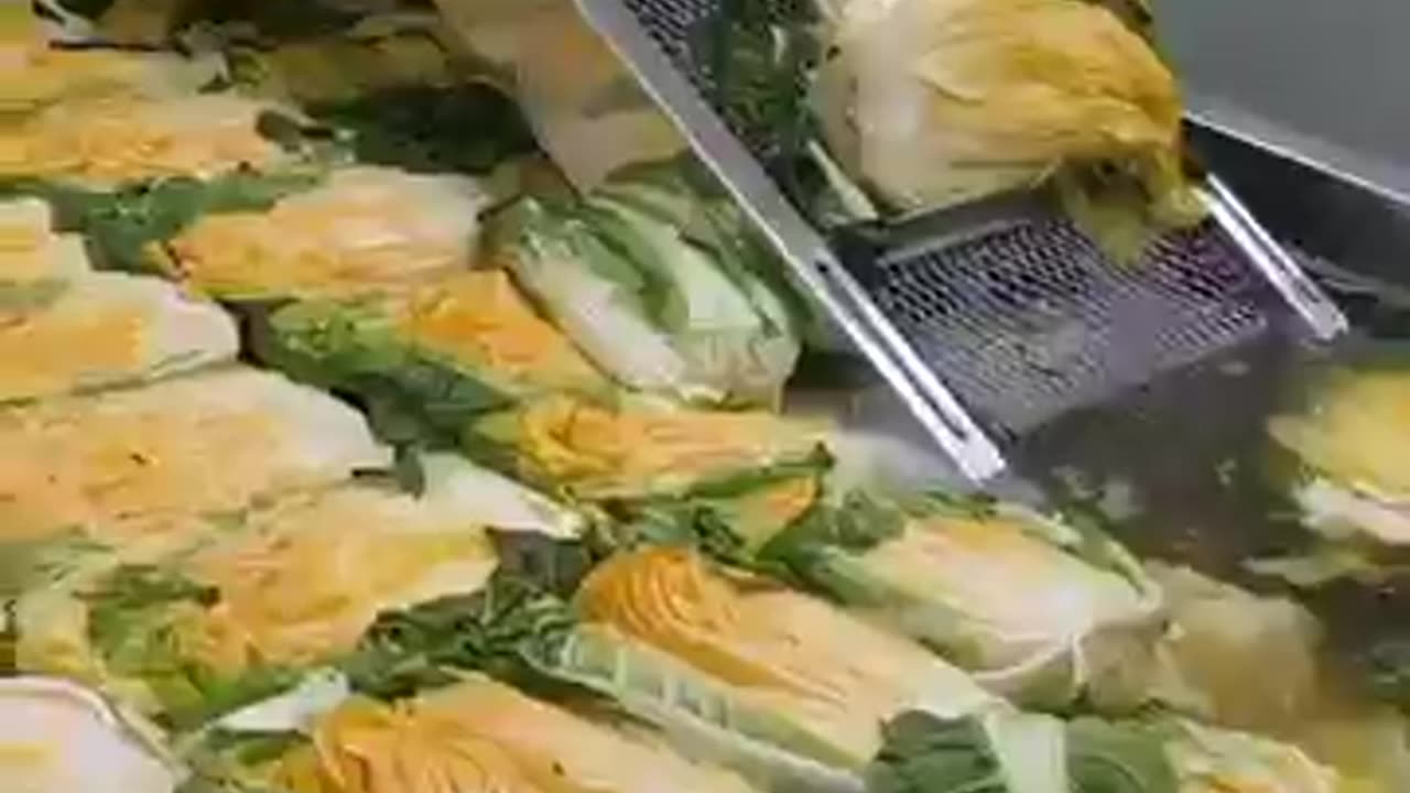 Perfect Hygiene?! Inside Korea’s Cleanest Kimchi Factory! 600 Tons Sold Every Winter 😱🥬 #shorts