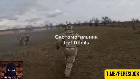 ⚡️Best of the SVO archives