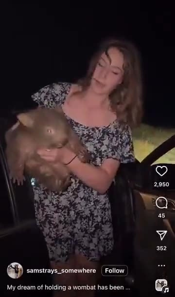 American influencer being deported for kidnapping baby wombat from mother...