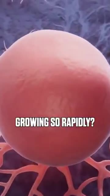 Can cure cancer, won't cure cancer