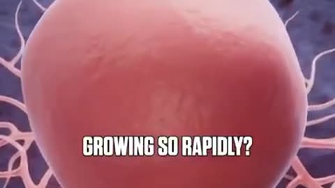 Can cure cancer, won't cure cancer