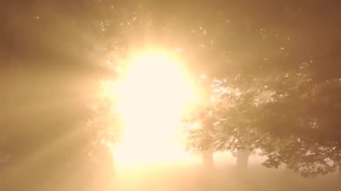 Daily Horoscope | Leo 🌟