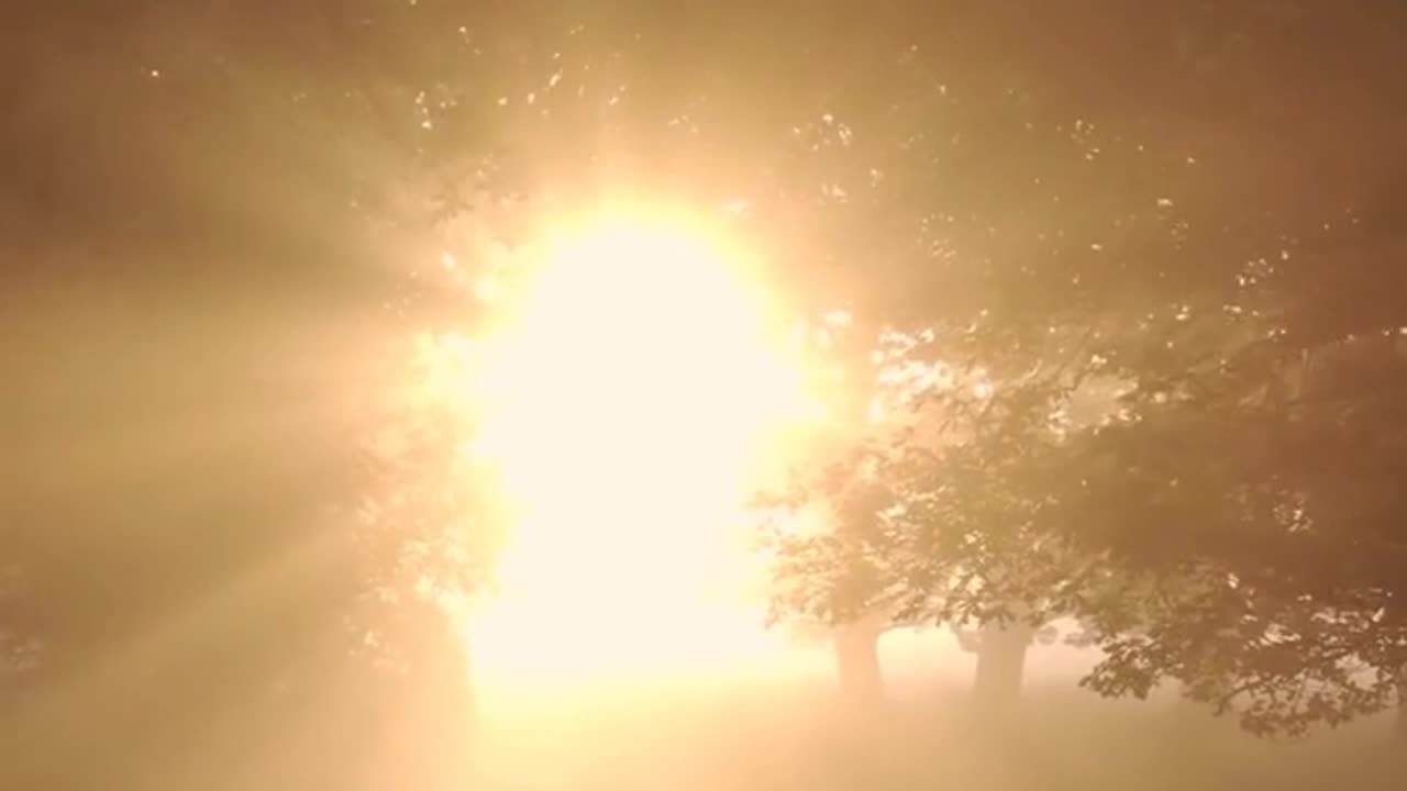 Daily Horoscope | Leo 🌟