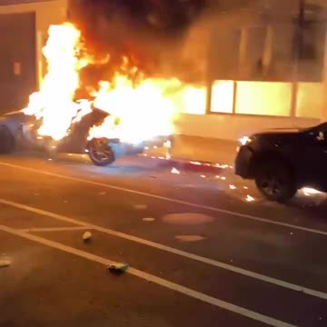 Blacks steal cars , destroy