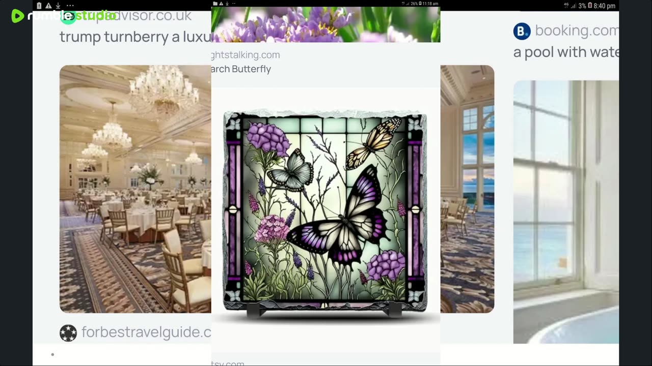 Polly Pics🐛🦋🐝