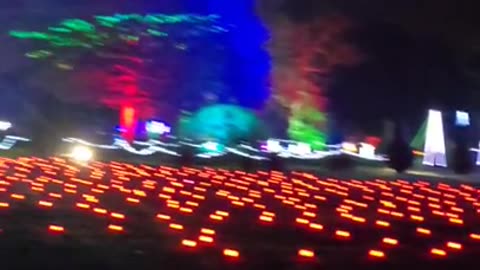 Chelmsford enlightened light show ✨️ 💛