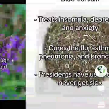 They want to hide these from you