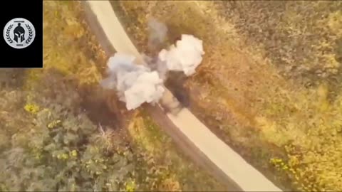 The faggot spilled the borscht