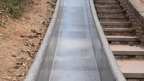 The brave little dog sliding down the slide triggers such infectious laughter