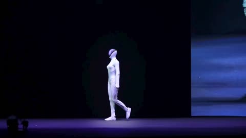 Elegant female robot