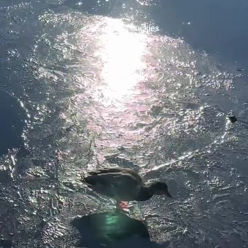 Showing off my ice skating moves