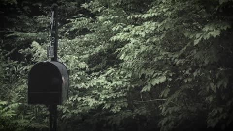 Taylor Swift - Foolish One (Taylor’s Version) (From The Vault) (Lyric Video)