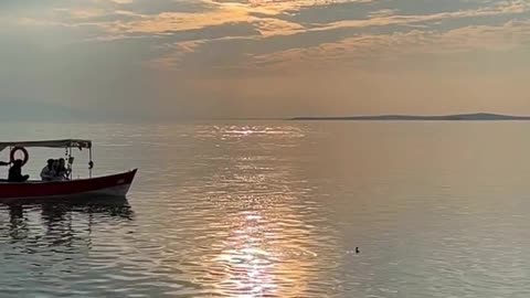 Daily Horoscope | Gemini 🌟