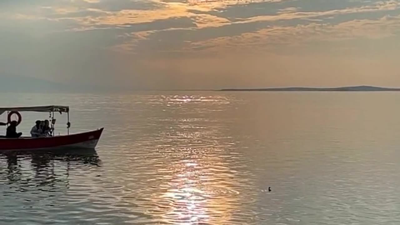 Daily Horoscope | Gemini 🌟