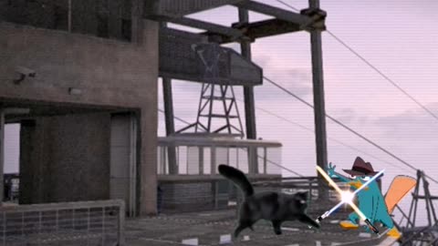 Cat Rico Nox Knight vs Agent P