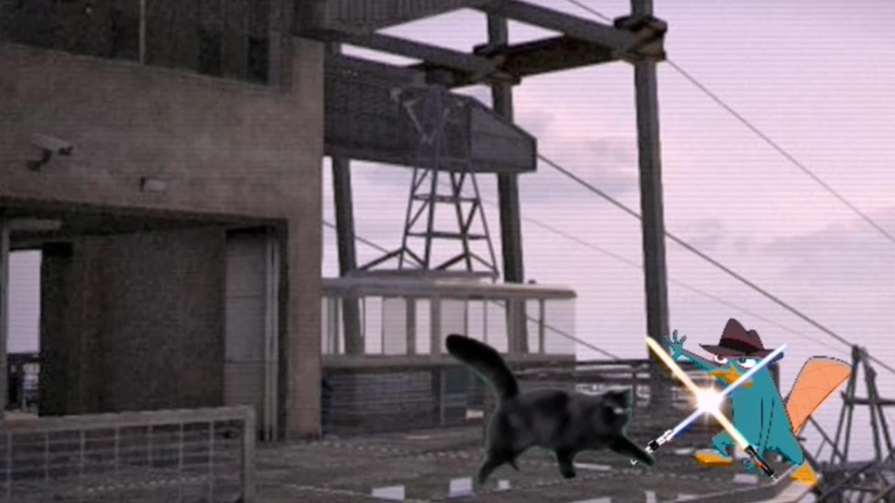 Cat Rico Nox Knight vs Agent P