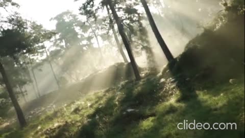 ALCHEMIST X HIT-BOY X Boldy James - Not Much (VIDEO)