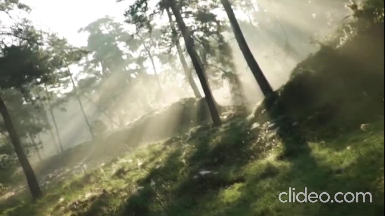 ALCHEMIST X HIT-BOY X Boldy James - Not Much (VIDEO)