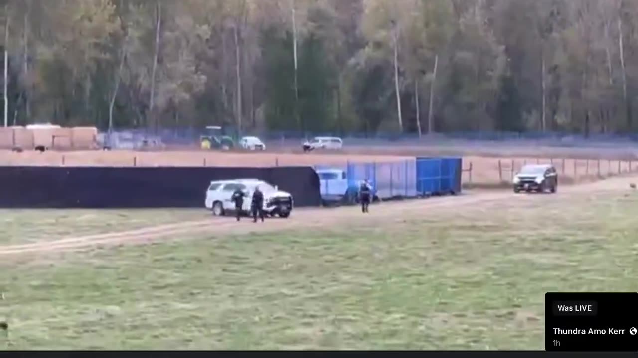 BC Ostrich Farm 🇨🇦 up BLACK LINER in a fenced area so NO ONE can see what’s happening in that area