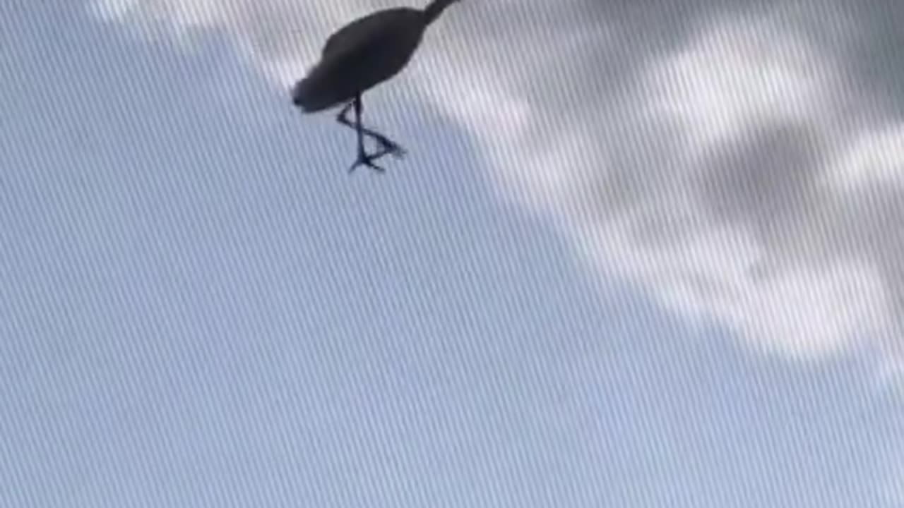 took me a hot minute to understand what was going on there 💀