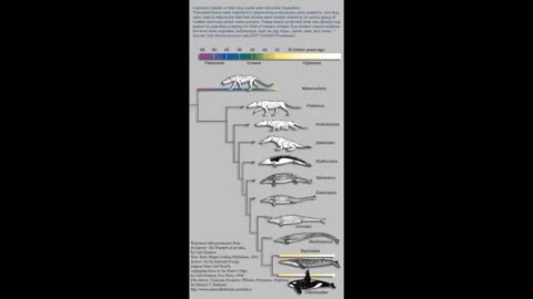 Understanding Biological Precedence
