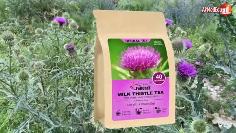 Efecto del Té de Cardo Mariano en el Organismo